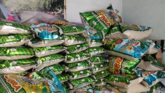 Cek Bansos Beras 30 Kg September 2026, Masukkan NIK KTP di Sini