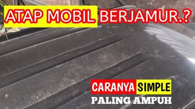 Cara membersihkan atap mobil berjamur