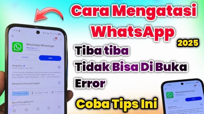 Mengatasi whatsapp error