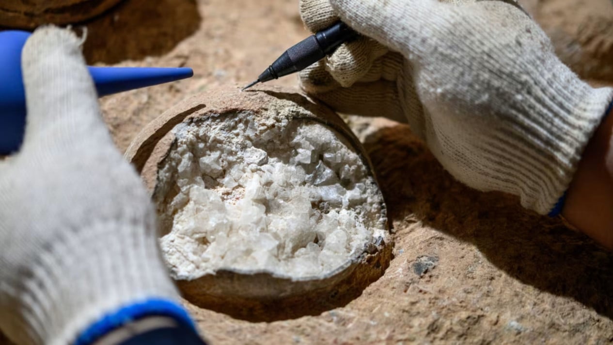 Ilmuwan China Berhasil Temukan Fosil Telur Dinosaurus 86 Juta Tahun