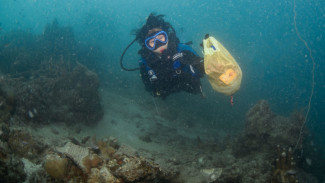 Cantik tapi 'Beracun', Penyelam Ini Bersih-bersih Lautan dari Serbuan Sampah Plastik