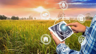 Petani Milenial Sulap Lahan Jadi Ladang Cuan Berkat Teknologi