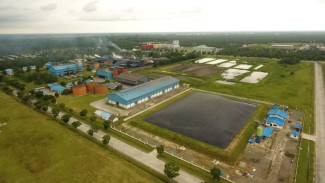Gas Limbah Sawit Disulap Jadi Listrik Bersih