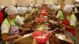 Bisakah Sistem Digital Kendalikan Peredaran Rokok Ilegal jika Kemasan Diseragamkan?