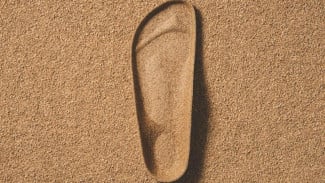 Langkah Kecil, Dampak Besar