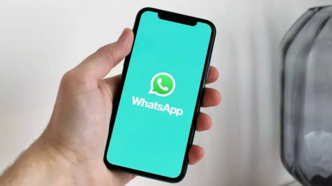 Ilustrasi WhatsApp di Iphone