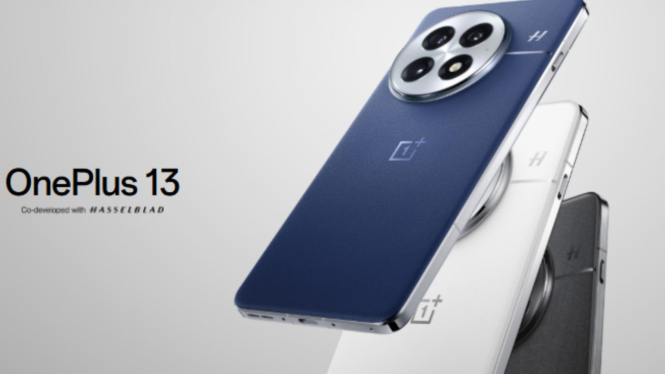 OnePlus 13