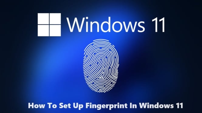 Mengaktifkan Fingerprint di Windows 11