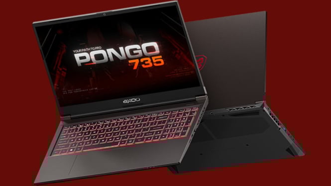 Laptop Axioo Pongo 735