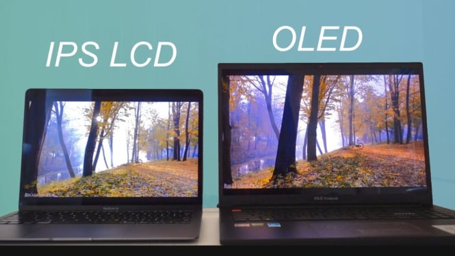 Layar IPS dan OLED