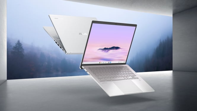 Asus CX54 Chromebook