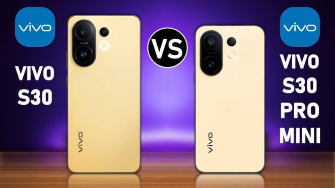Vivo S30 vs S30 Pro Mini