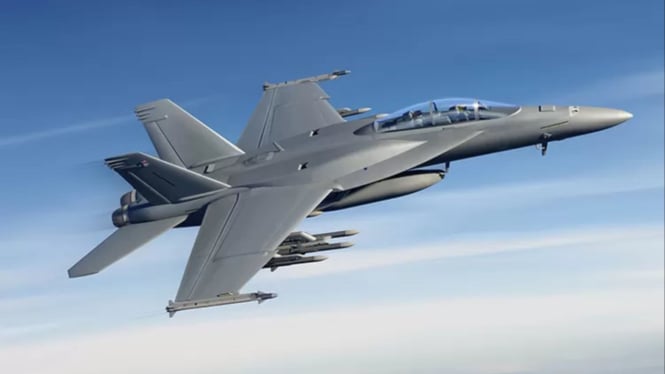 Pesawat Tempur F/A-18 Hornet
