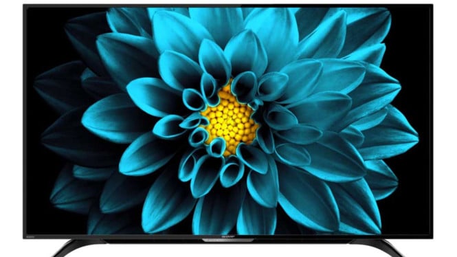 Sharp 4K 4T-C50DK1I
