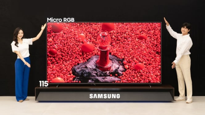 TV micro RGB 115 inci Samsung