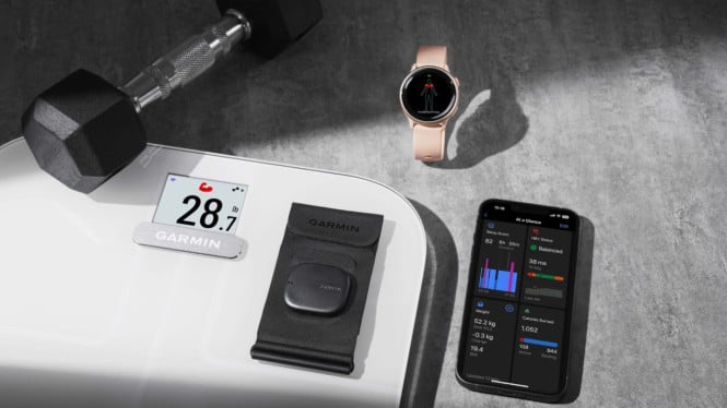 Garmin Index Sleep Monitor.