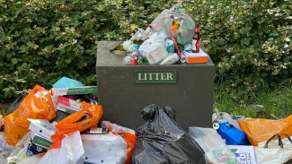 Ilmuwan Bikin Tempat Sampah Mirip Kulkas, Biar Ga Bau Semerbak