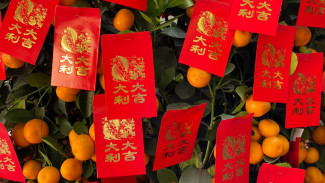 Jelang Imlek 2023, Kue Keranjang Diburu di Ecommerce