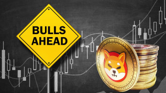SHIB Siap Meroket 12%? Analis Ungkap Sinyal Teknikal Bullish