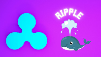 Whale XRP Serok di Tengah Harga Turun, Prediksi Rebound?