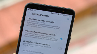 Mengenal Lebih Dekat Rayap: Peran, Kehidupan, dan Dampaknya [Test]