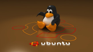 6 Alasan Ubuntu Linux Cocok untuk Pemula