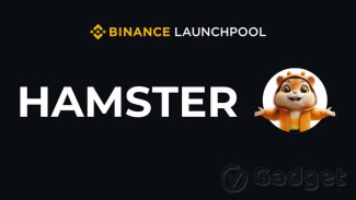 Hamster Kombat Segera Meluncur di Binance: Peluang Besar Menanti!