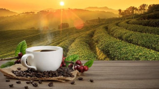 Mengenal Lebih Jauh Kopi: Manfaat, Risiko, dan Kisah di Baliknya