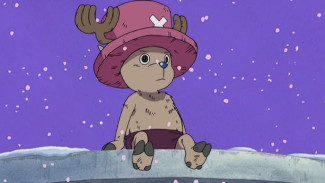 9 Karakter One Piece dengan Masa Lalu Paling Tragis!