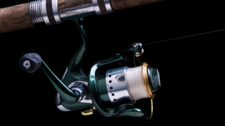 Daftar 10 Reel Pancing Kuat dan Awet Terbaik untuk Galatama Hingga Mancing di Lautan