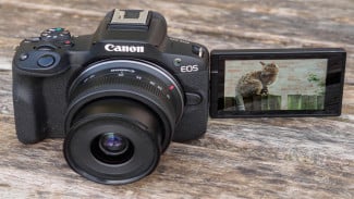 Canon EOS R50: Kamera Mirrorless Andal untuk Segala Kebutuhan Fotografi dan Videografi