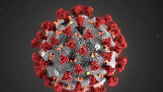 Virus HKU5-CoV-2 Baru Mirip Covid-19 Ditemukan di China, Berpotensi Infeksi Manusia