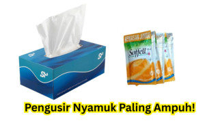 Tips Mudah Bikin Pengusir Nyamuk dari Bahan Sehari-hari