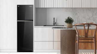 Panasonic NR-BB252Q-PK:  Kulkas Panasonic dengan Teknologi Frame Fresh untuk Kesegaran Maksimal