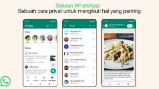 Cara Mudah Membuat Status WA Horizontal ala Story IG, Cuma Butuh 1 Langkah!