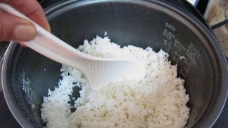 Kenapa Nasi di Rice Cooker Cepat Basi? Simak Penjelasannya!