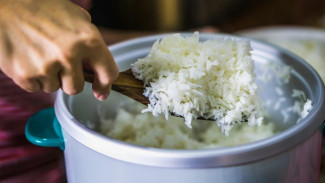 6 Faktor yang Bikin Nasi di Rice Cooker Anda Jadi Cepat Basi dan Tak Enak Dimakan