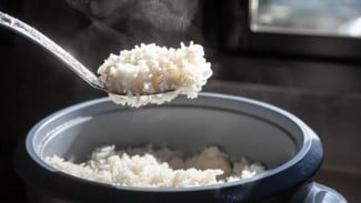 Trik Ampuh Hilangkan Masalah Nasi Lembek Karena Rice Cooker Bermasalah