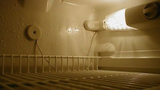 4 Alasan Utama Kenapa Lampu Kulkas Kamu Mati dan Cara Memperbaikinya