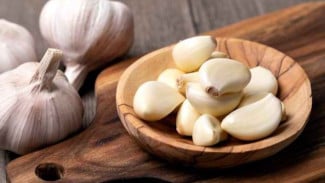Pestisida Alami! Begini Cara Bikin Pestisida Alami dari Bawang Putih dan Lidah Buaya