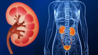 Waspada! Ini 5 Gejala Kerusakan Ginjal yang Sering Terlihat Saat Bangun Tidur