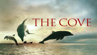 Film Dokumenter Terbaik yang Merubah Cara Pandang Manusia