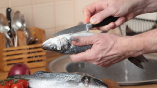 8 Cara Mudah Membersihkan Ikan Tanpa Bau Amis di Dapurmu!