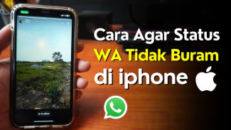 Kenapa Kamera WhatsApp Buram di iPhone? Ini Solusinya!