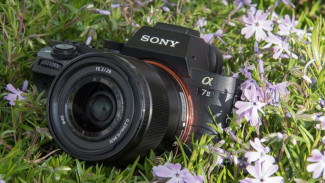 Pilih Mana? 5 Kamera DSLR Terpopuler Untuk Pemula Tahun Ini