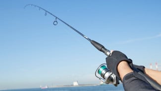 Ngaku Hobi Mancing Tapi Belum Tau 8 Reel Pancing Super Kuat ini? Rugi Banget!