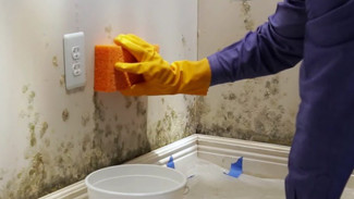 Solusi Ampuh Hilangkan Jamur di Dinding Kamar Mandi dengan Bahan Alami