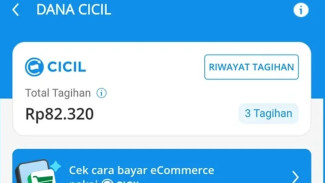 Pinjaman Digital yang Aman: Ini Alasan Kenapa Anda Harus Coba DANA Cicil