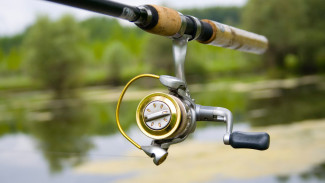 20 Reel Pancing Terbaik 2025: Kualitas Sultan, Harga Ramah di Kantong!