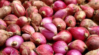Ternyata, Bawang Merah Lebih dari Sekadar Bumbu! Simak 6 Manfaatnya untuk Kesehatan Tubuh